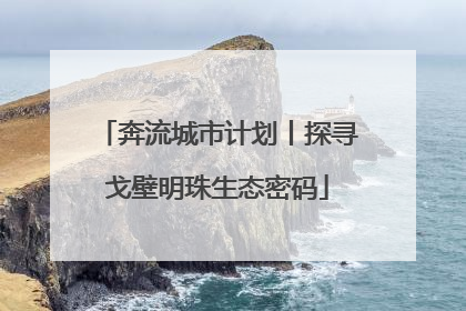 奔流城市计划丨探寻戈壁明珠生态密码
