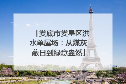 娄底市娄星区洪水单屋场：从煤灰蔽日到绿意盎然