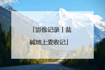 影像记录丨盐碱地上麦收记
