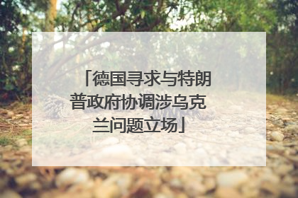德国寻求与特朗普政府协调涉乌克兰问题立场