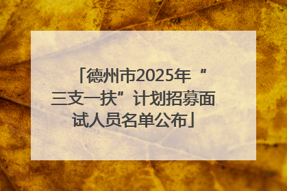 德州市2025年“三支一扶”计划招募面试人员名单公布