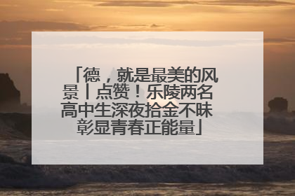 德，就是最美的风景丨点赞！乐陵两名高中生深夜拾金不昧 彰显青春正能量