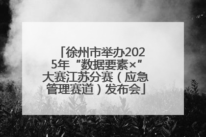 徐州市举办2025年“数据要素×”大赛江苏分赛（应急管理赛道）发布会