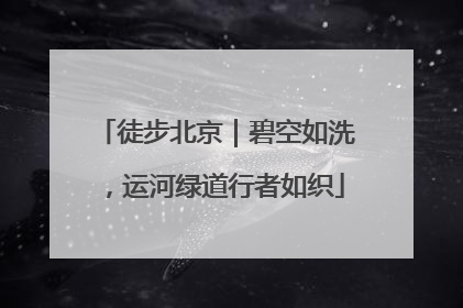 徒步北京｜碧空如洗，运河绿道行者如织