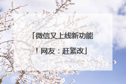 微信又上线新功能！网友：赶紧改