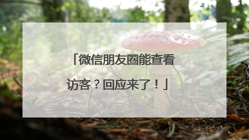微信朋友圈能查看访客？回应来了！