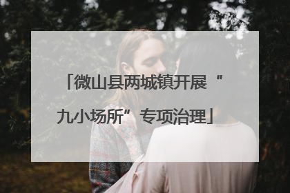 微山县两城镇开展“九小场所”专项治理