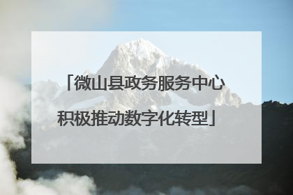 微山县政务服务中心积极推动数字化转型