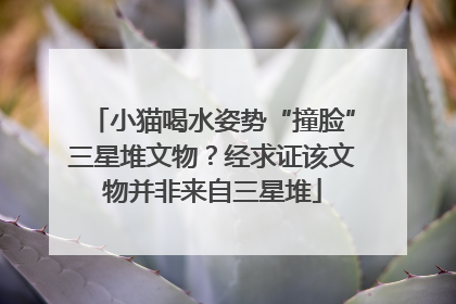 小猫喝水姿势“撞脸”三星堆文物？经求证该文物并非来自三星堆