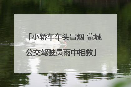 小轿车车头冒烟 蒙城公交驾驶员雨中相救