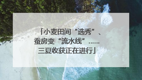 小麦田间“选秀”、蚕房变“流水线”……三夏收获正在进行