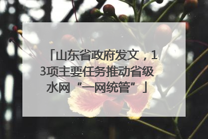 山东省政府发文，13项主要任务推动省级水网“一网统管”