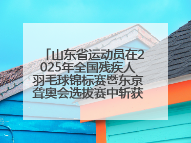 山东省运动员在2025年全国残疾人羽毛球锦标赛暨东京聋奥会选拔赛中斩获3银1铜