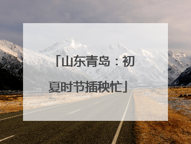 山东青岛：初夏时节插秧忙