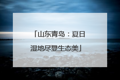 山东青岛：夏日湿地尽显生态美