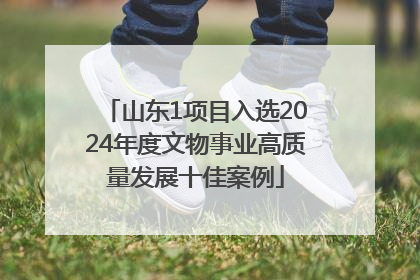 山东1项目入选2024年度文物事业高质量发展十佳案例