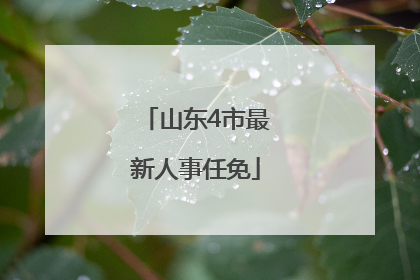 山东4市最新人事任免