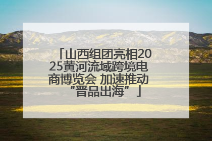 山西组团亮相2025黄河流域跨境电商博览会 加速推动“晋品出海”