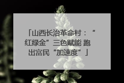 山西长治革命村：“红绿金”三色赋能 跑出富民“加速度”