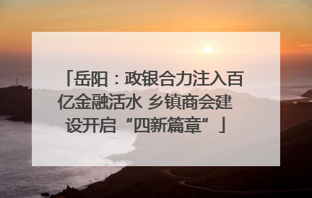 岳阳：政银合力注入百亿金融活水 乡镇商会建设开启“四新篇章”