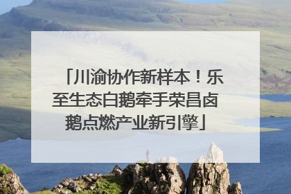 川渝协作新样本！乐至生态白鹅牵手荣昌卤鹅点燃产业新引擎