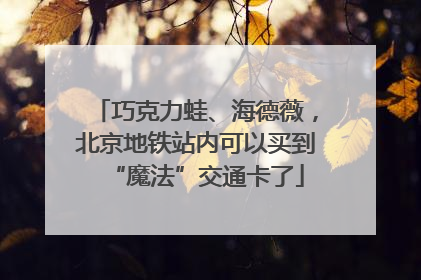 巧克力蛙、海德薇，北京地铁站内可以买到“魔法”交通卡了