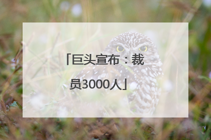 巨头宣布：裁员3000人