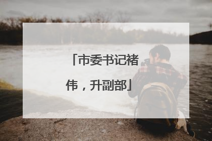 市委书记褚伟，升副部