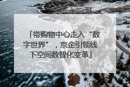 带购物中心走入“数字世界”，京企引领线下空间数智化变革