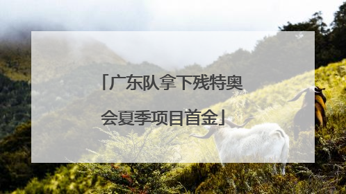 广东队拿下残特奥会夏季项目首金