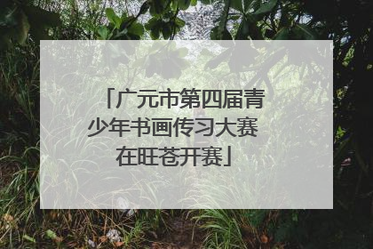 广元市第四届青少年书画传习大赛在旺苍开赛