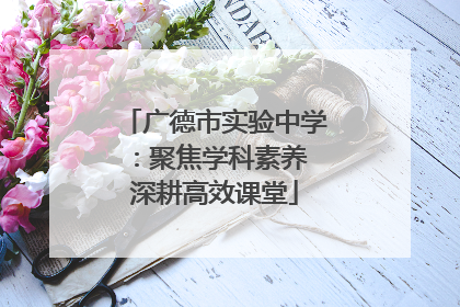 广德市实验中学：聚焦学科素养 深耕高效课堂