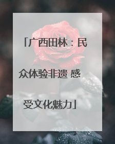 广西田林：民众体验非遗 感受文化魅力