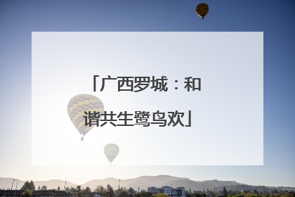 广西罗城：和谐共生鹭鸟欢