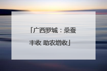 广西罗城：桑蚕丰收 助农增收