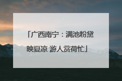 广西南宁：满池粉黛映夏凉 游人赏荷忙
