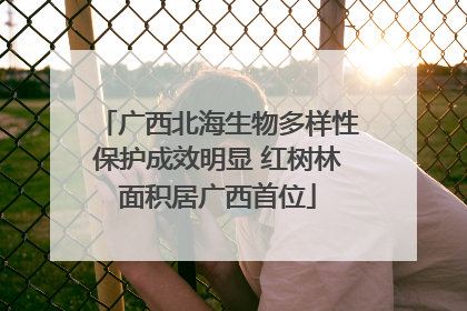 广西北海生物多样性保护成效明显 红树林面积居广西首位