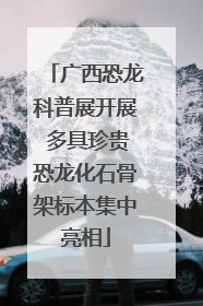 广西恐龙科普展开展 多具珍贵恐龙化石骨架标本集中亮相