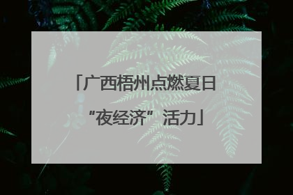 广西梧州点燃夏日“夜经济”活力