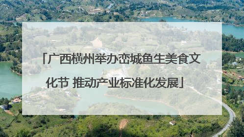 广西横州举办峦城鱼生美食文化节 推动产业标准化发展