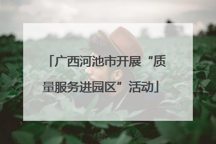 广西河池市开展“质量服务进园区”活动