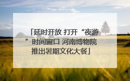 延时开放 打开“夜游”时间窗口 河南博物院推出暑期文化大餐