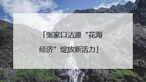 张家口沽源“花海经济”绽放新活力