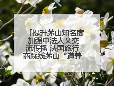 提升茅山知名度 加强中法人文交流传播 法国旅行商踩线茅山“道养文化产品”