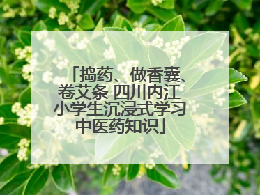 捣药、做香囊、卷艾条 四川内江小学生沉浸式学习中医药知识