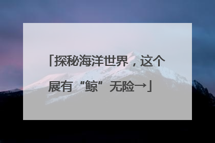 探秘海洋世界，这个展有“鲸”无险→