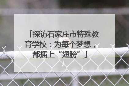 探访石家庄市特殊教育学校：为每个梦想，都插上“翅膀”
