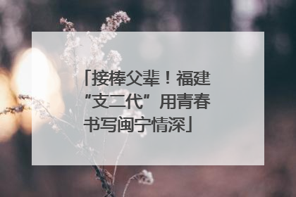 接棒父辈！福建“支二代”用青春书写闽宁情深