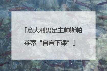 意大利男足主帅斯帕莱蒂“自宣下课”