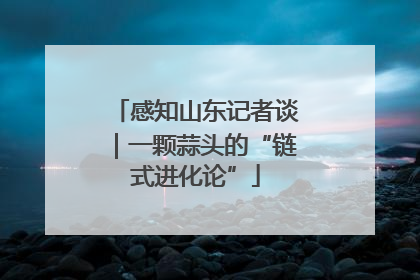 感知山东记者谈｜一颗蒜头的“链式进化论”